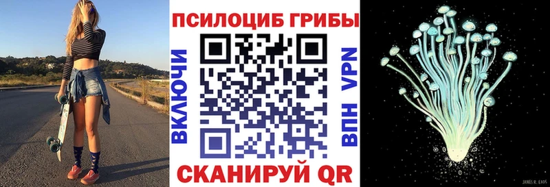 Галлюциногенные грибы мицелий  Курганинск 